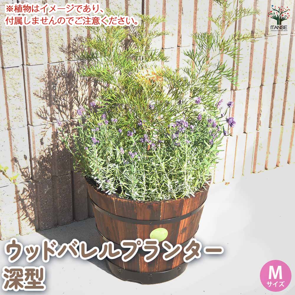 ウッドプランター 【資材 】｜ 【植物のITANSE】全品送料無料