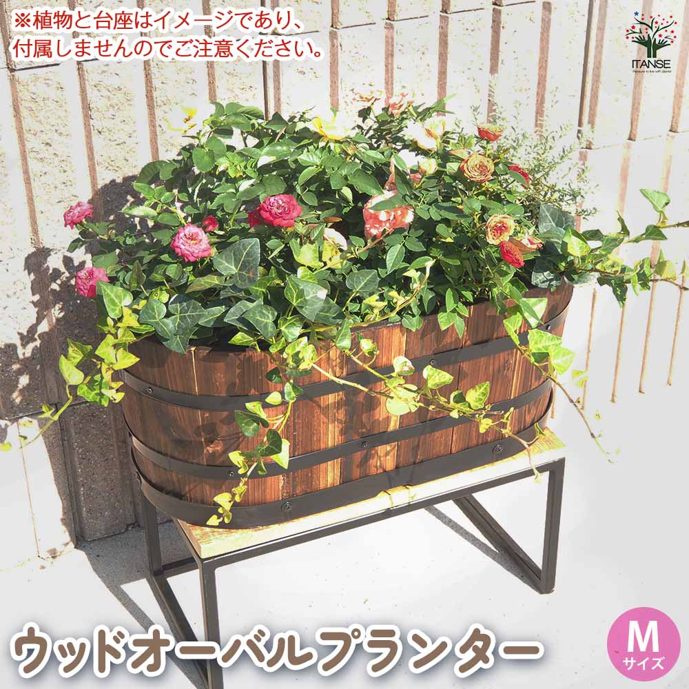 ウッドプランター 【資材 】｜ 【植物のITANSE】全品送料無料