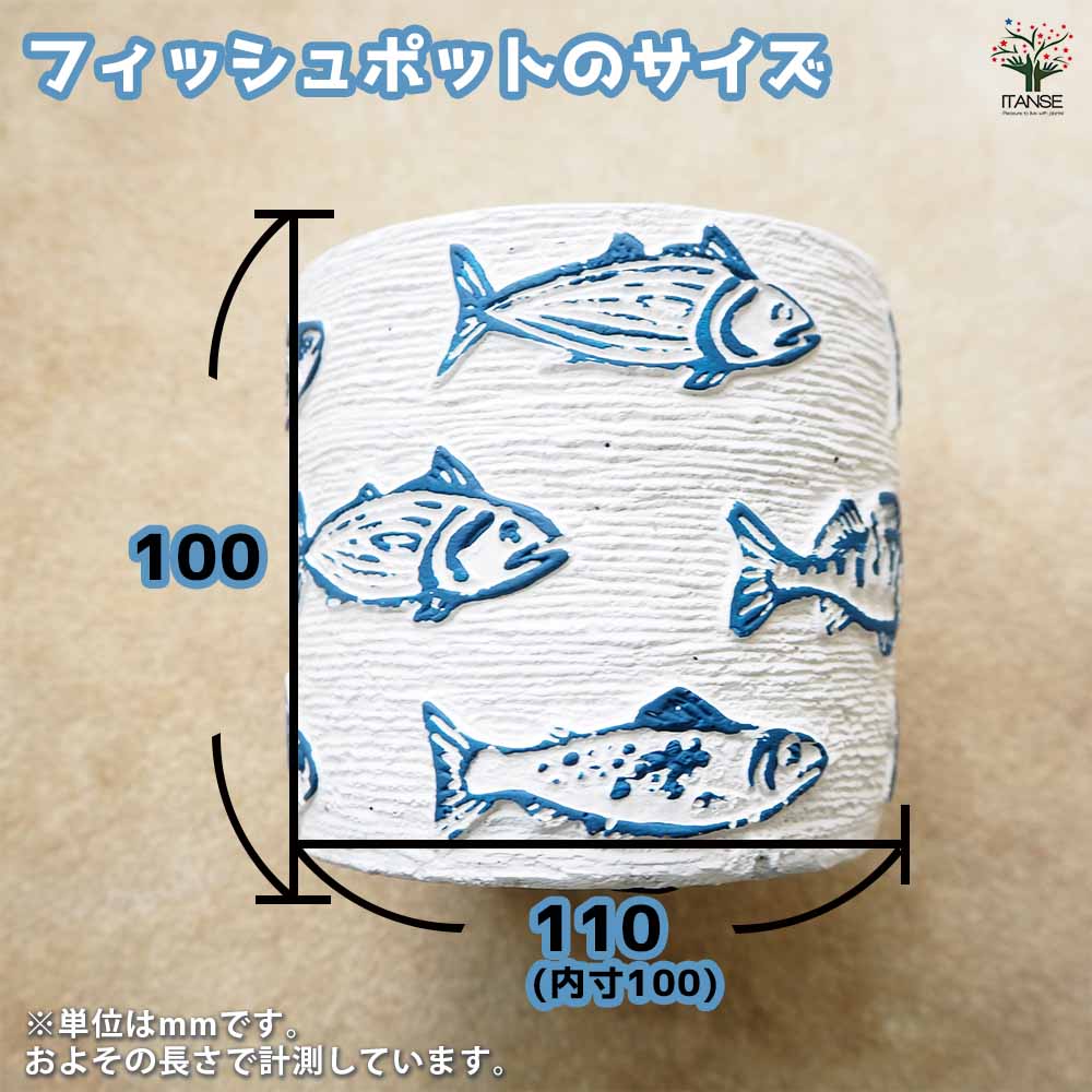 フィッシュポット 【陶器鉢 】｜ 【植物のITANSE】全品送料無料