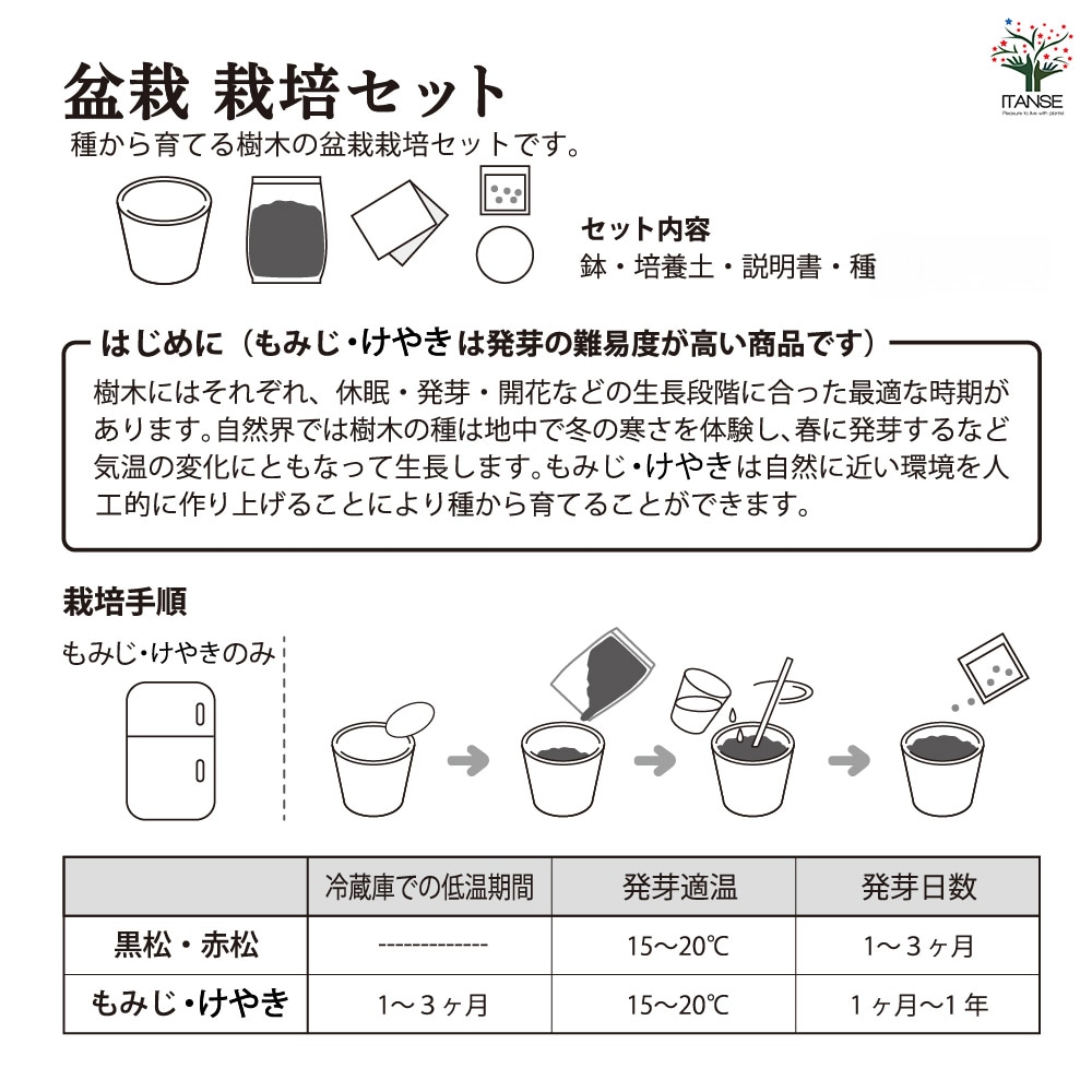栽培セット JAPANESE BONSAI｜ 【植物のITANSE】全品送料無料