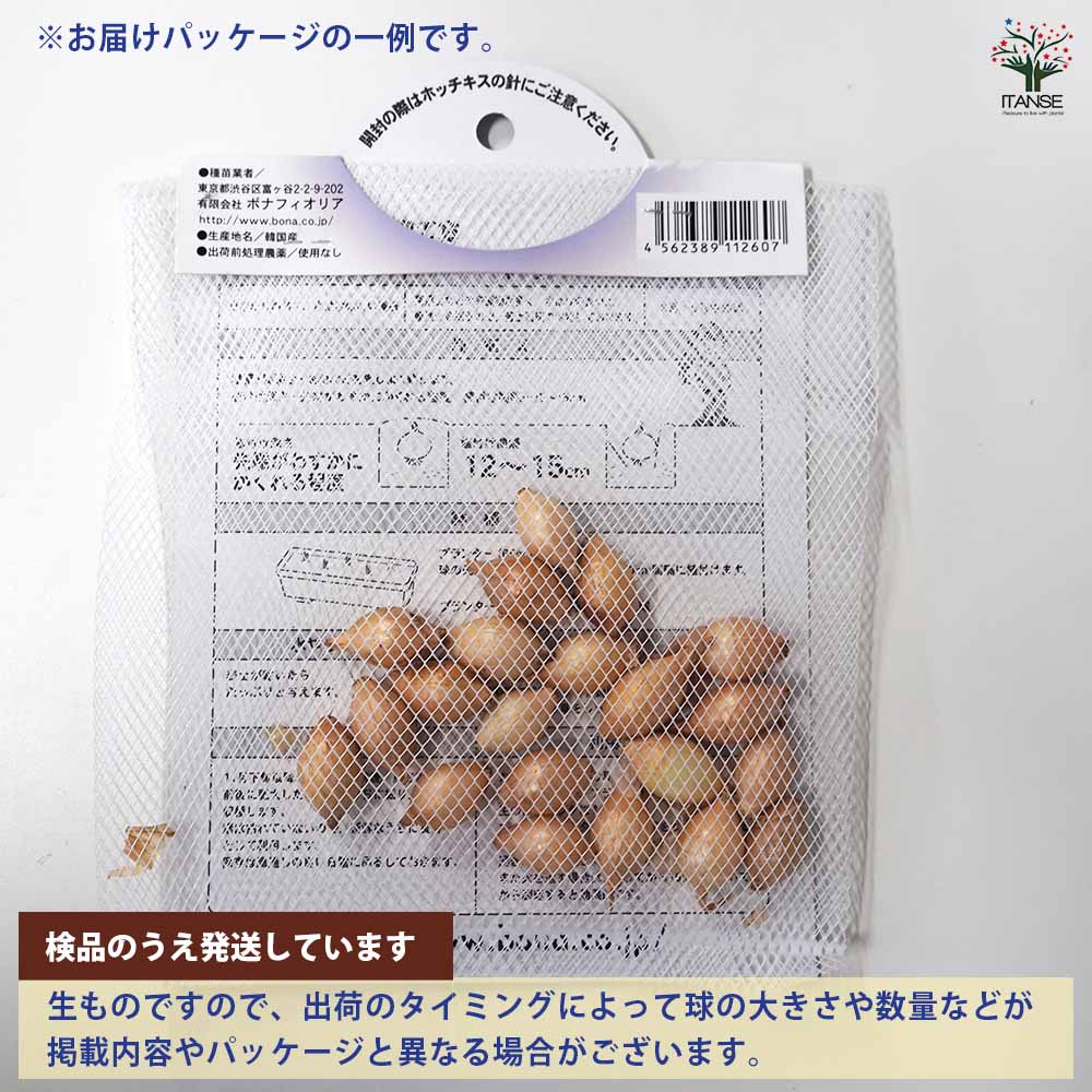 追加商品画像
