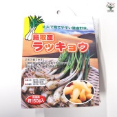 鳥取産ラッキョウ  【野菜球根 充填時150g ／1個売り】|球根類