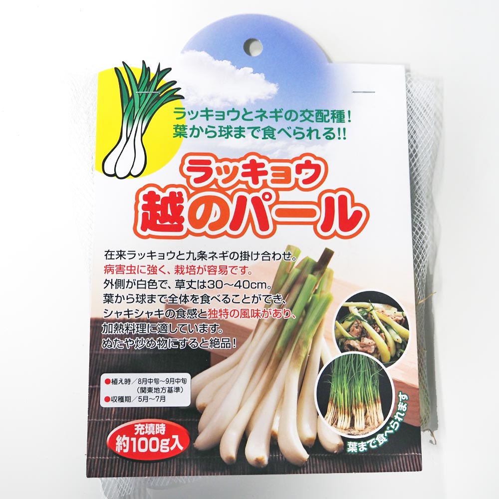 ラッキョウ 越のパール 【野菜球根 充填時100g ／1個売り】