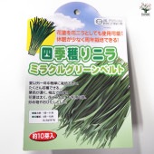 四季穫りニラ ミラクルグリーンベルト 【野菜球根 約10芽／1個売り】|球根類