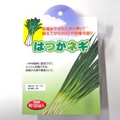 はつかねぎ 【野菜球根 充填時130g ／1個売り】|球根類