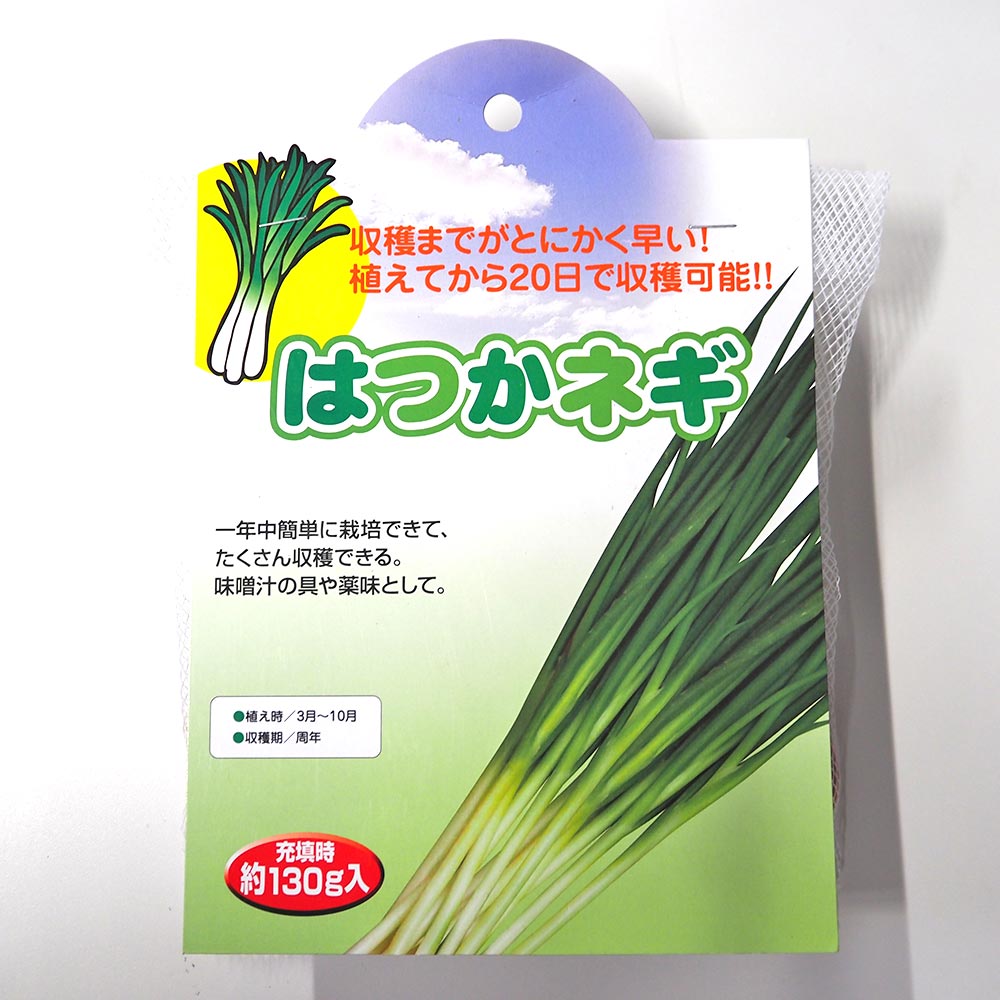 はつかねぎ 【野菜球根 充填時130g ／1個売り】