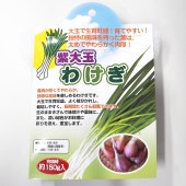 紫大玉 わけぎ 【野菜球根 充填時150g ／1個売り】|球根類