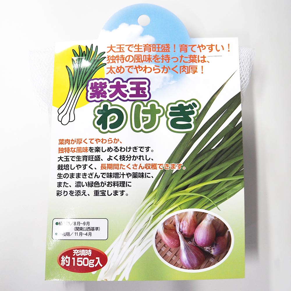 紫大玉 わけぎ 【野菜球根 充填時150g ／1個売り】