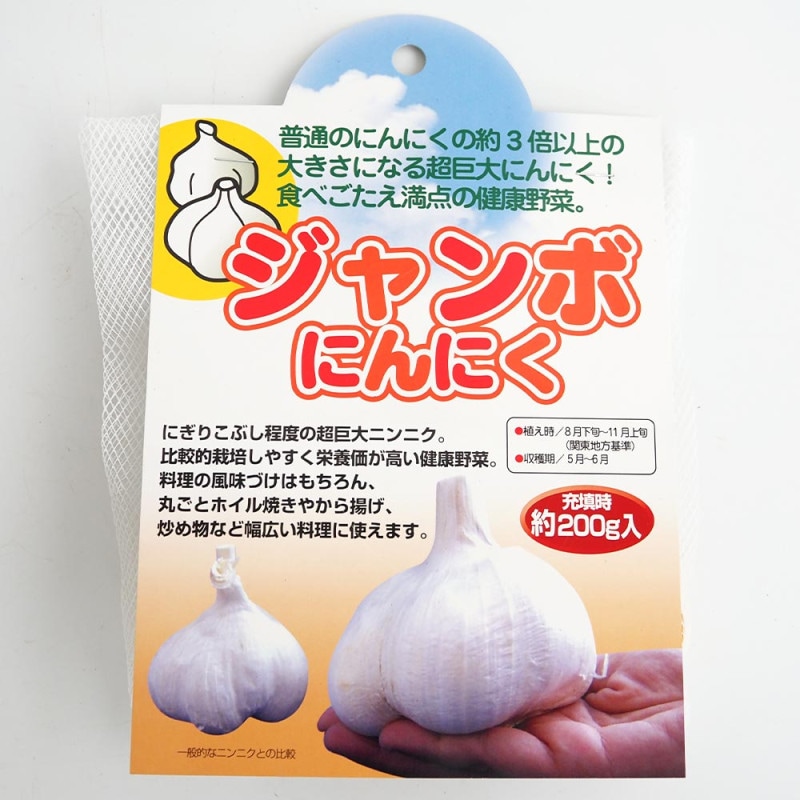 やわらかホームタマネギ シルクボール 【野菜球根 約15球／1個売り