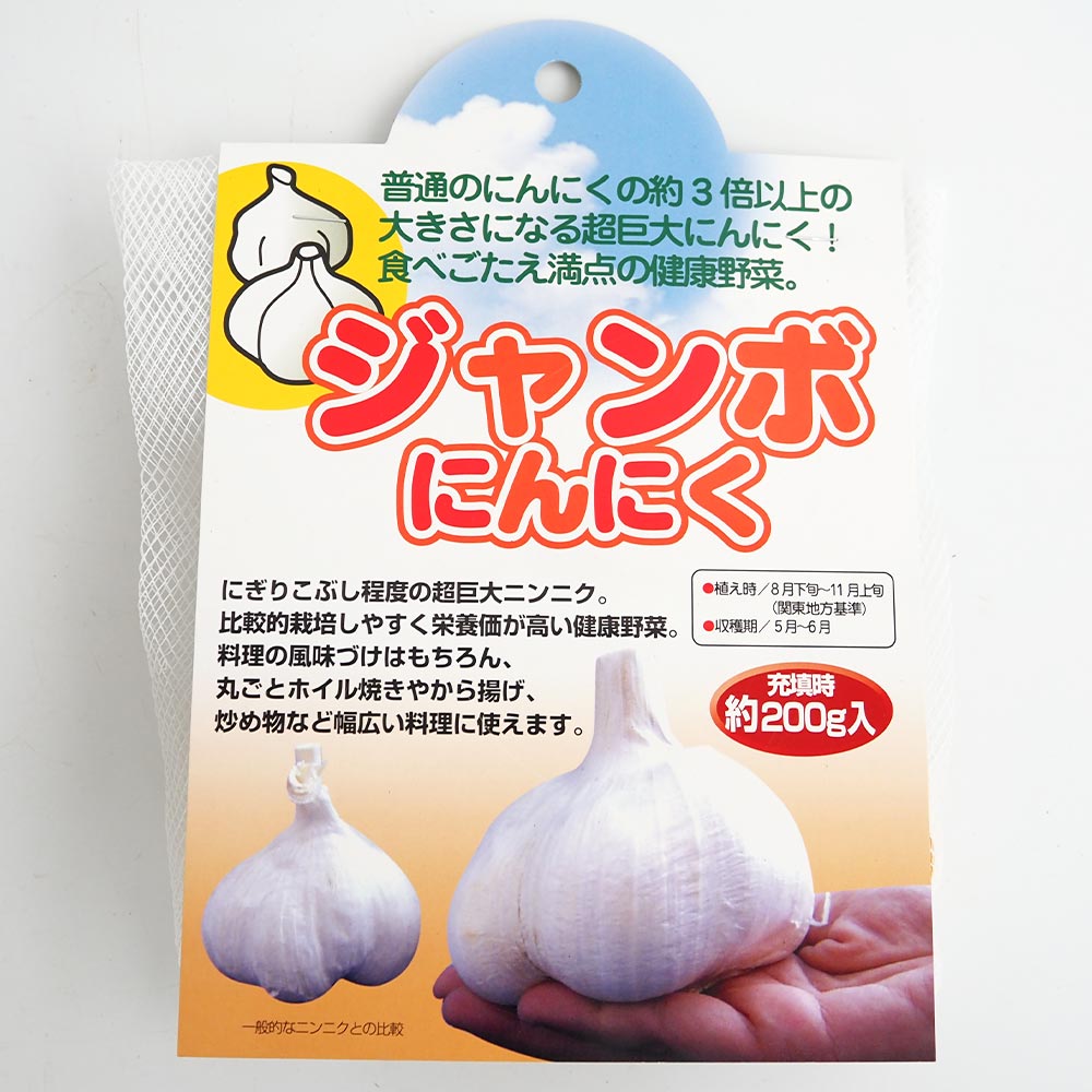ジャンボにんにく 【野菜球根 充填時200g／1個売り】