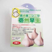 壱州早生(イシュウワセ)にんにく 【野菜球根 3球／1個売り】|球根類