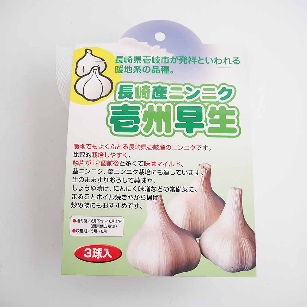 壱州早生(イシュウワセ)にんにく 【野菜球根 3球／1個売り】