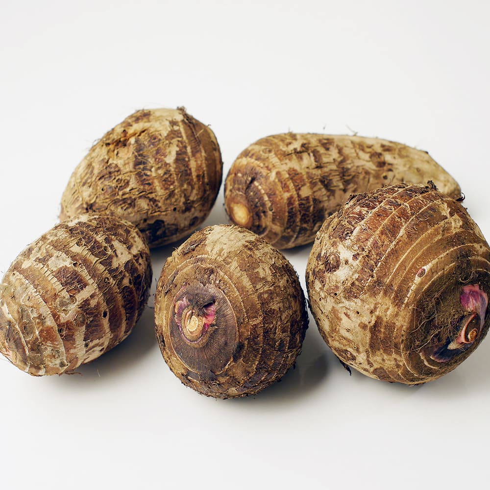 サトイモの種芋 やつこ 【野菜種芋 】