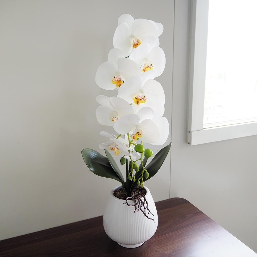 造花 胡蝶蘭 白花 【造花 Aタイプ／1個売り】