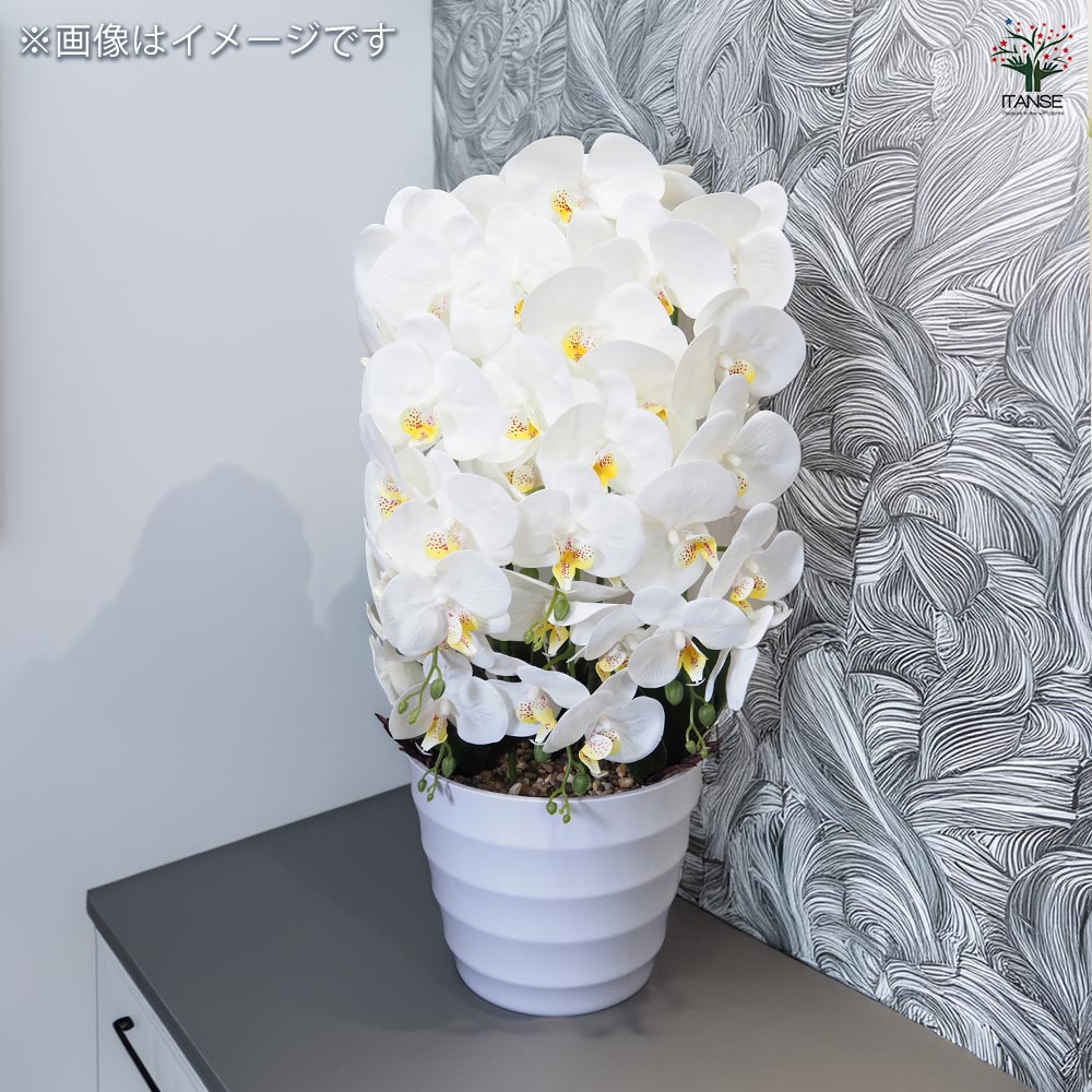 造花 胡蝶蘭 白花 【造花 Cタイプ／1個売り】｜ 【植物のITANSE