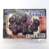 種子 一口サイズの小ナス うす皮味丸  【 約40粒／1袋売り】|種子