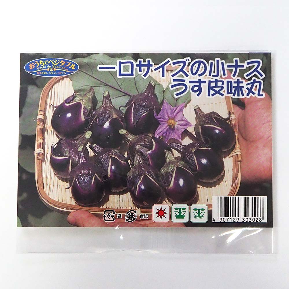 種子 一口サイズの小ナス うす皮味丸  【 約40粒／1袋売り】