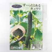 種子 ず〜っととれるキュウリ  【 約8粒／1袋売り】|種子