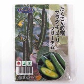 種子 たくさん収穫 サラダキュウリ フリーダム  【 約8粒／1袋売り】|種子