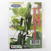 種子 スナック感覚のカクテルミニキュウリ  【 約8粒／1袋売り】|種子