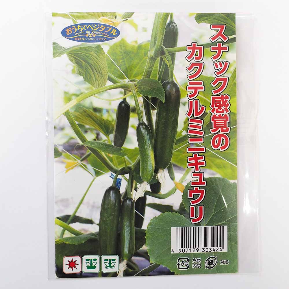 種子 スナック感覚のカクテルミニキュウリ  【 約8粒／1袋売り】