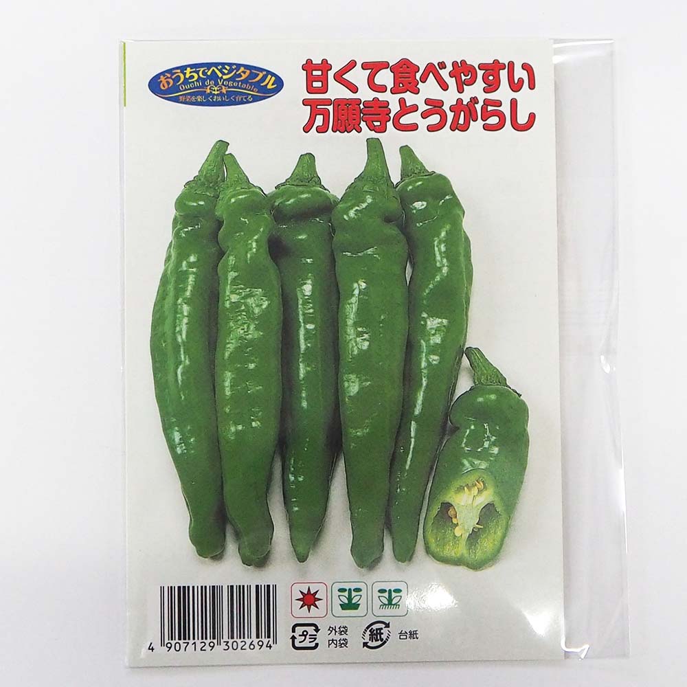 種子 甘くて食べやすい 万願寺とうがらし  【 約25粒／1袋売り】