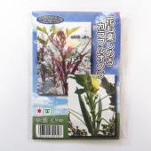 種子 花も楽しめるカラフルオクラ  【 各約5ml／1袋売り】|種子