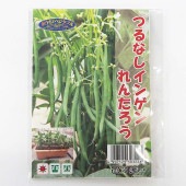 種子 つるなしインゲン れんたろう  【 約50粒／1袋売り】|種子