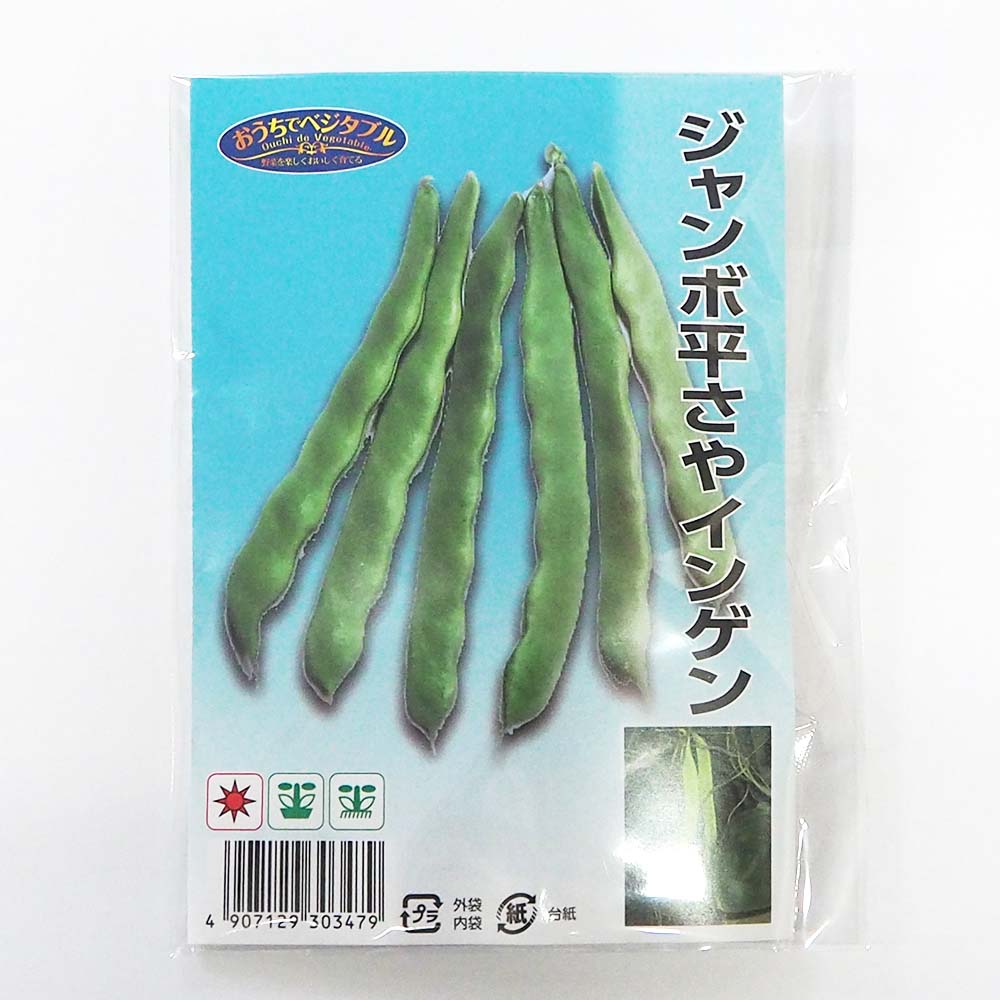 種子 ジャンボ平さやインゲン  【 約30ml／1袋売り】