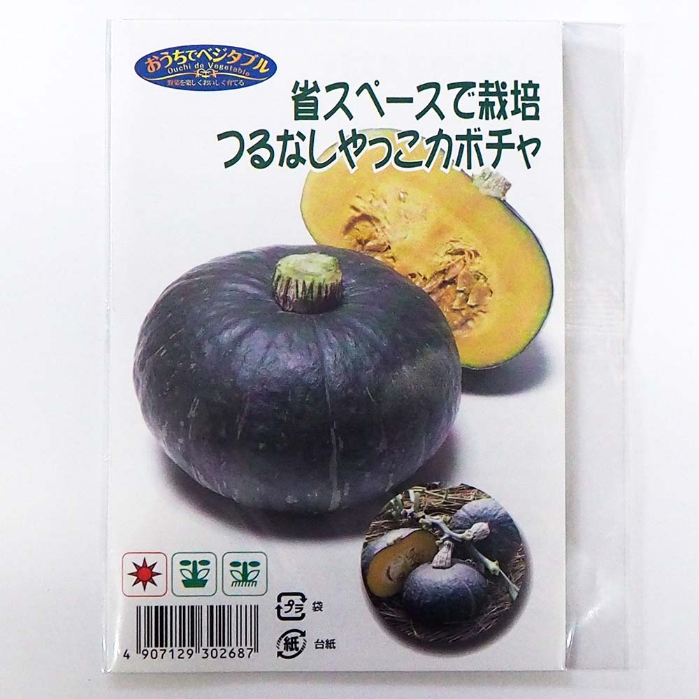 種子 省スペース栽培 つるなしやっこカボチャ  【 約6粒／1袋売り】