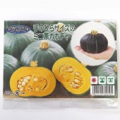 種子 手のひらサイズのミニ栗カボチャ  【 約8粒／1袋売り】|種子