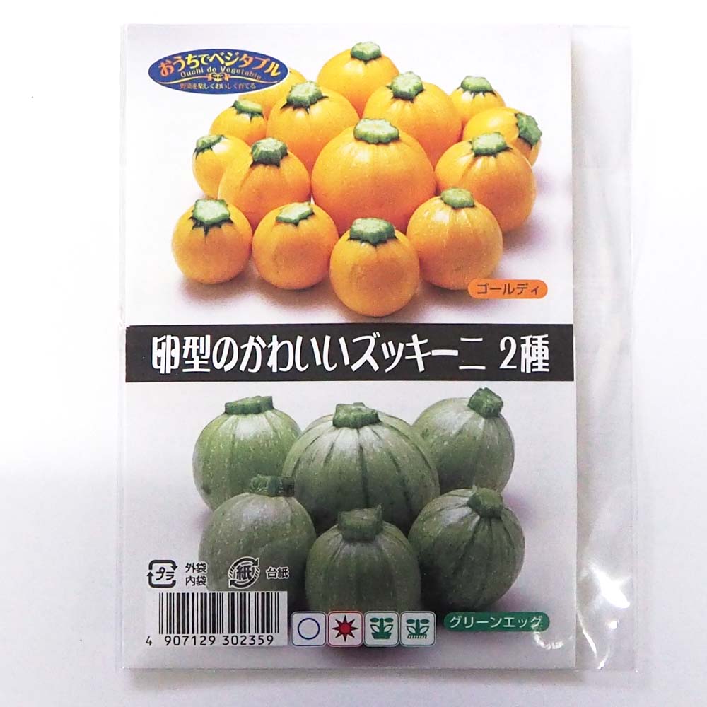 種子 卵型のかわいいズッキーニ 【 各約5粒／1袋売り】