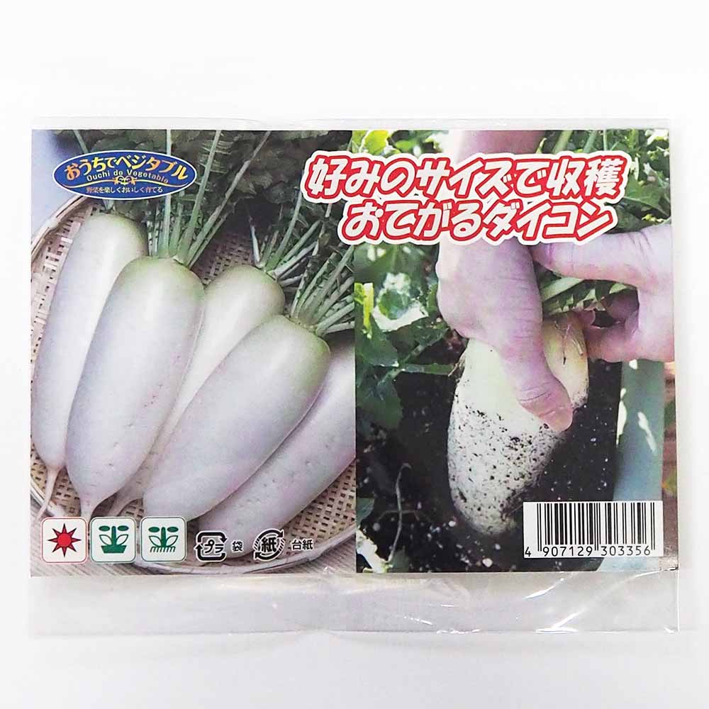 種子 好みのサイズで収穫 おてがるダイコン  【 約2.5ml／1袋売り】