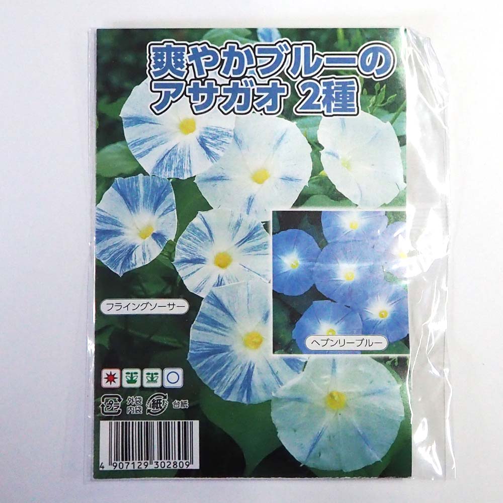 種子 爽やかブルーのアサガオ 【 各約15粒／1袋売り】