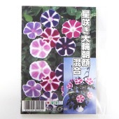 種子 星咲き大輪混合朝顔  【 約20粒／1袋売り】|種子