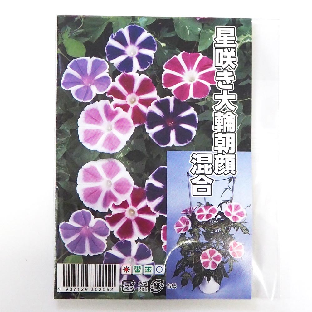 種子 星咲き大輪混合朝顔  【 約20粒／1袋売り】