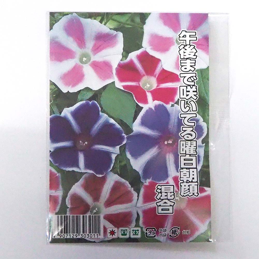 種子 午後まで咲いてる曜白朝顔 混合  【 約20粒／1袋売り】