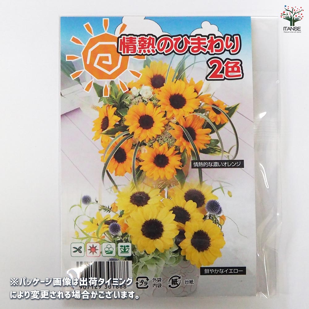 ひまわりページ 種子 情熱のひまわり 【 各約15粒／1袋売り】｜ 【植物のITANSE