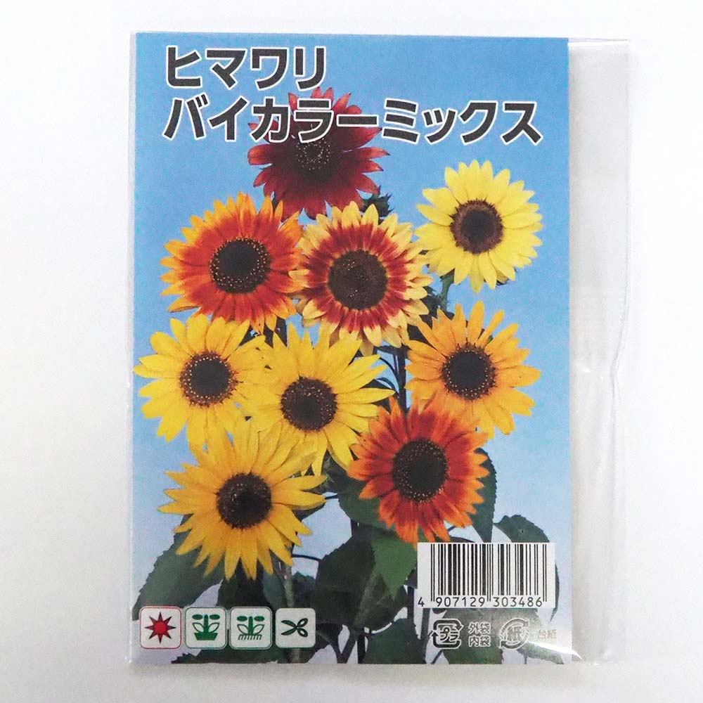 種子 ヒマワリ バイカラーミックス  【 約50粒／1袋売り】