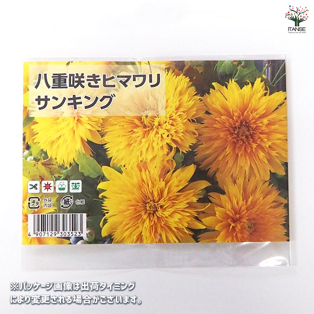 種子 八重咲きヒマワリ サンキング 【 約20粒／1袋売り】｜ 【植物の