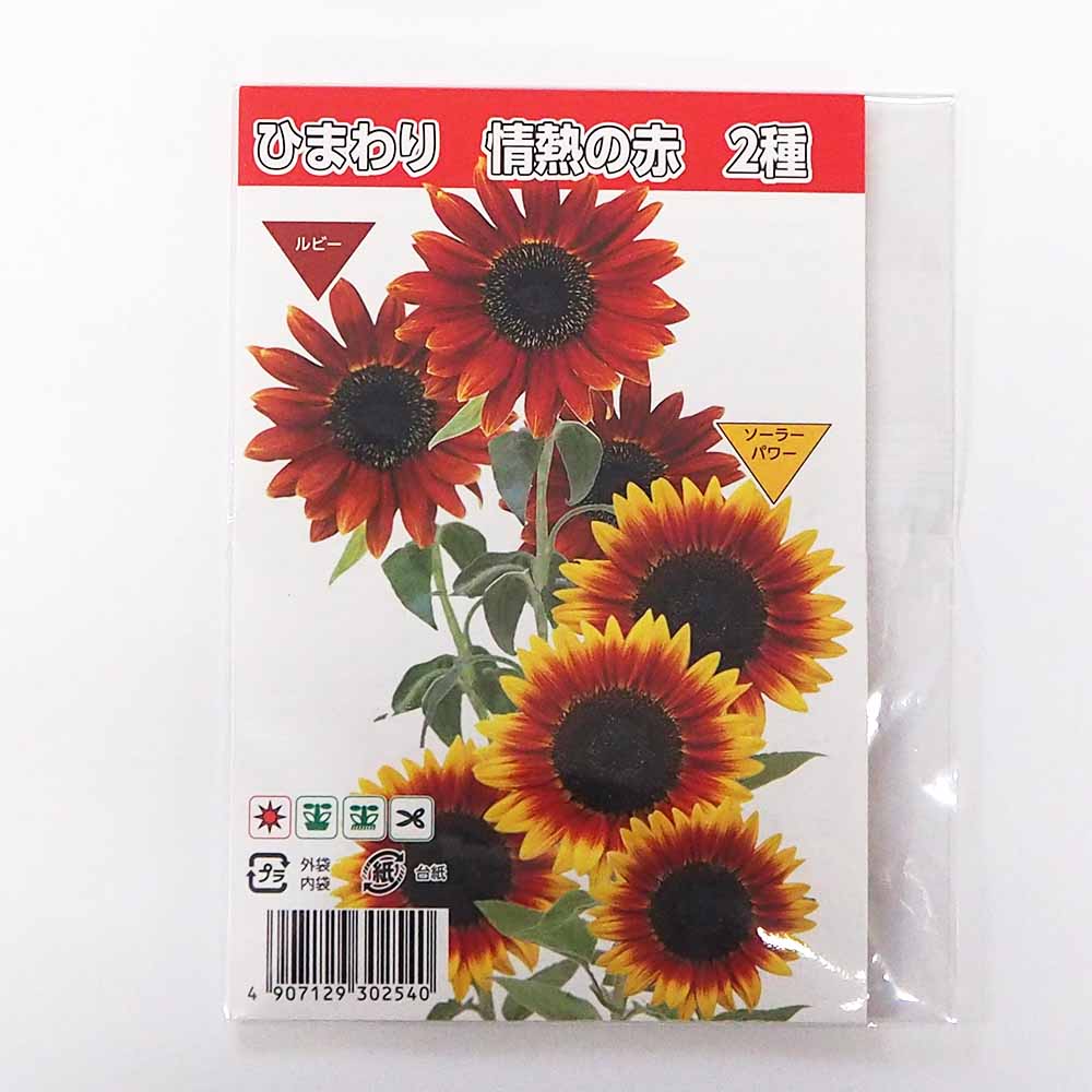 種子 ひまわり 情熱の赤  【 各約10粒／1袋売り】