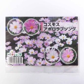 種子 コスモス アポロラブソング  【 約40粒／1袋売り】|種子