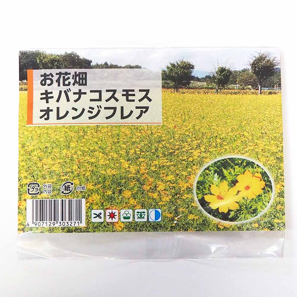 種子 お花畑 キバナコスモス オレンジフレア  【 約10ml／1袋売り】