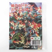 種子 緑のカーテン ミナロバータ  【 約15粒／1袋売り】|種子