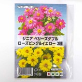 種子 ジニア ベリーズダブル Rピンク&イエロー  【 各約20粒／1袋売り】|種子