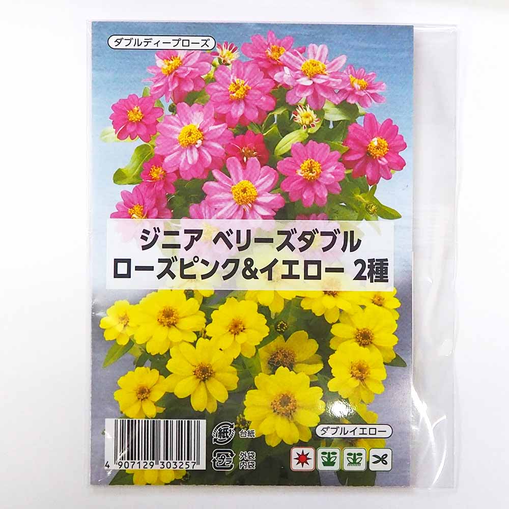 種子 ジニア ベリーズダブル ローズピンク&イエロー  【 各約20粒／1袋売り】