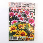 種子 ジニア Pフュージョンツインバイカラー 【 各約18粒／1袋売り】|種子