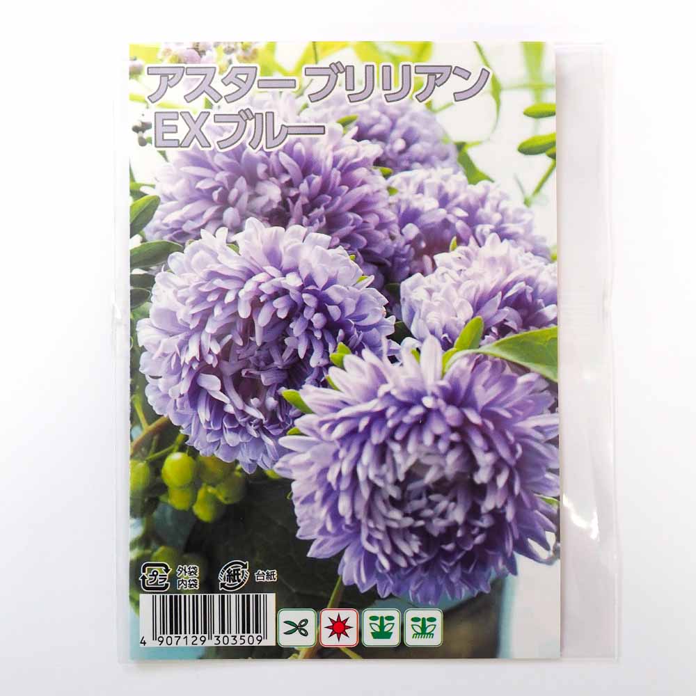種子 アスター ブリリアンEX ブルー  【 約20粒／1袋売り】