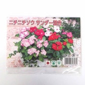 種子 ニチニチソウ サンダーミックス  【 約25粒／1袋売り】|種子