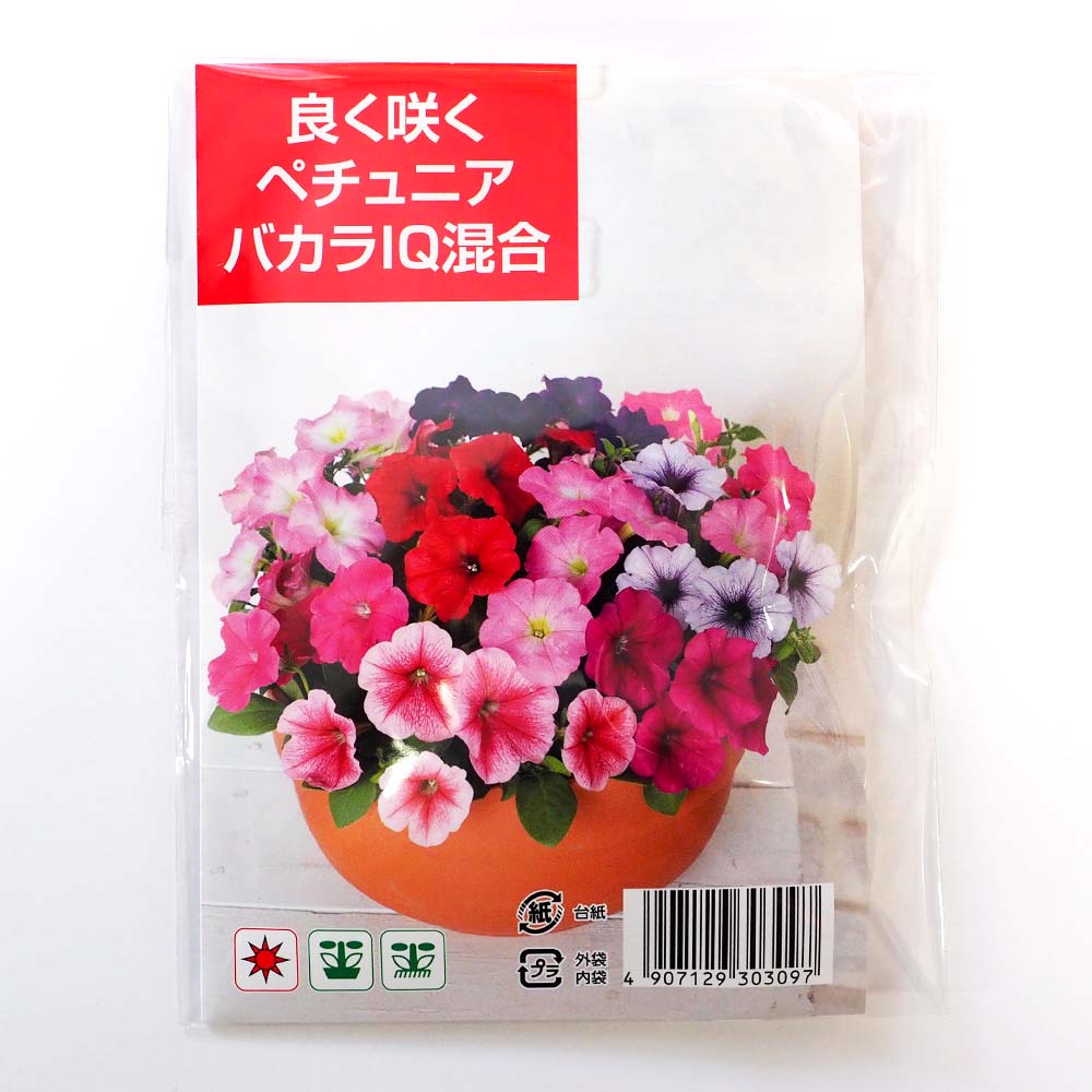種子 良く咲くペチュニア バカラIQ混合 【 約30粒／1袋売り】｜ 【植物